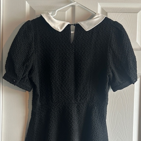 Classic Black Dress with White Collar - Picture 12 of 16